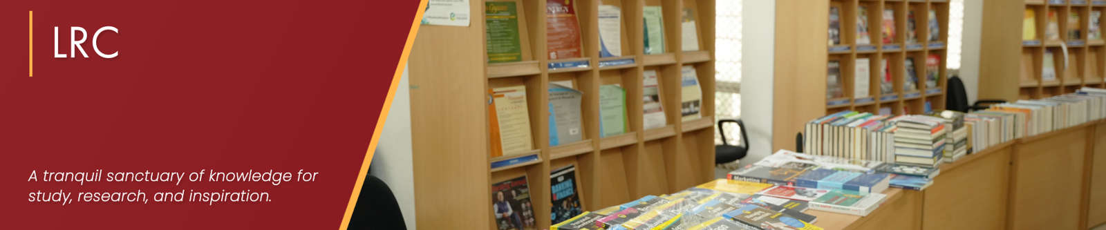 VJIM library